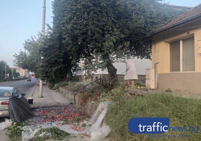 Дядо блокира тротоар да брули сливи