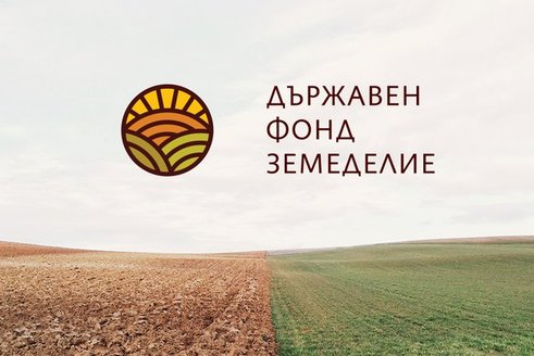 Картофопроизводителите получиха над 1 млн. лева за борба с телените червеи