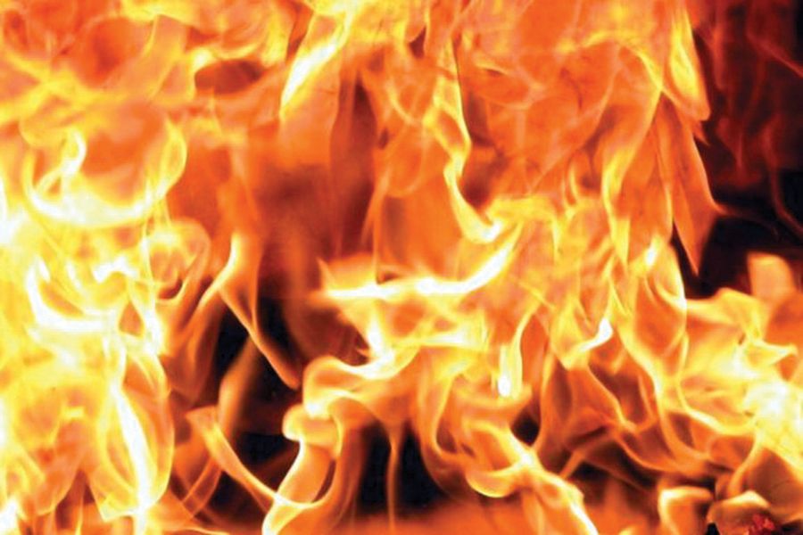 В Русенско: Близо 6 часа пожарникари и доброволци гасиха пламнала борова гора