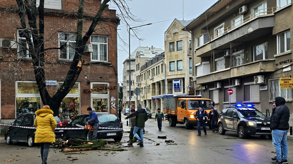 Част от дърво падна върху кола в центъра на Русе